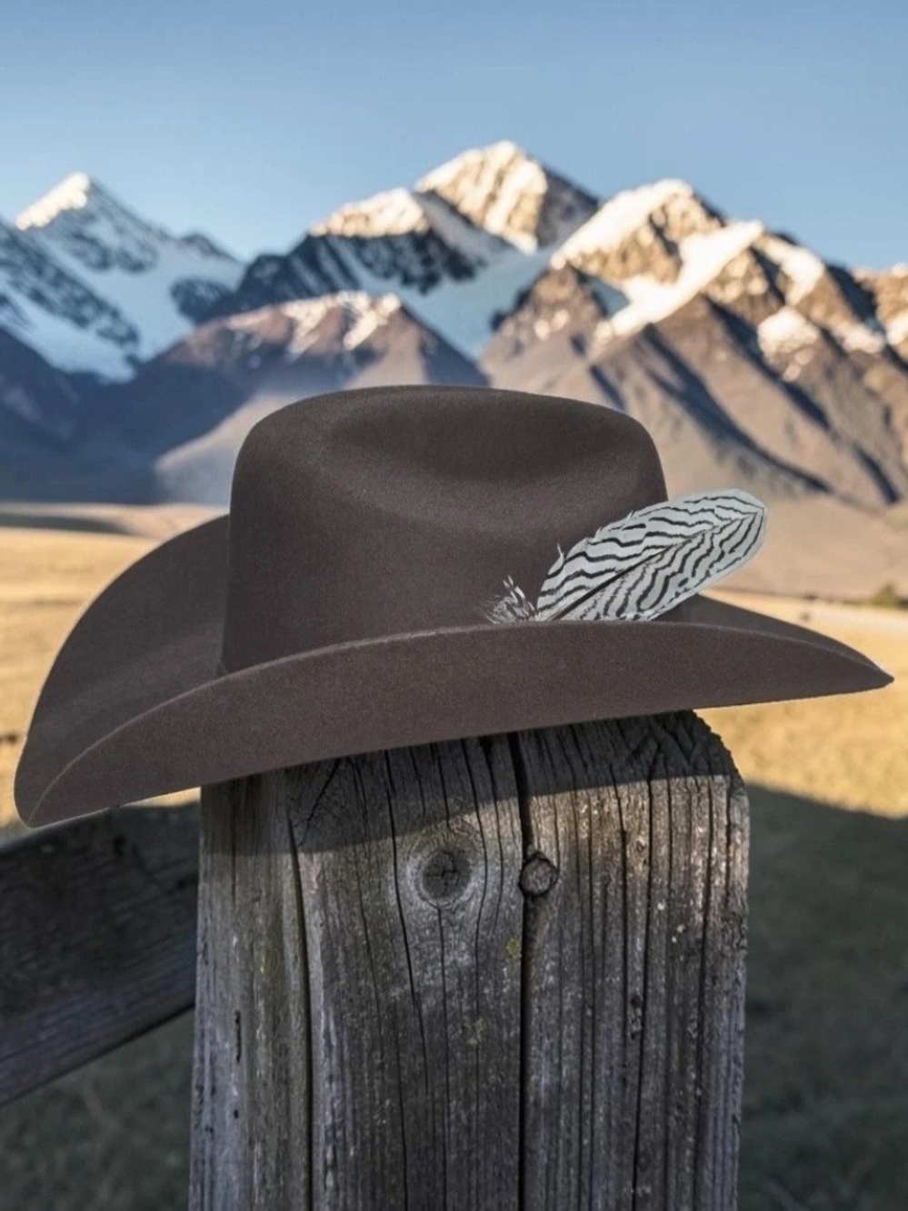 NWT Bullhide Brown Kingsman 4X Cowboy Hat  SZ 7 5/8  7" Silver Pheasant Feather